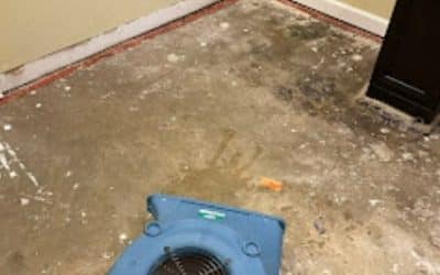 Dangers Of Water Damage: Causes, Prevention & Restoration