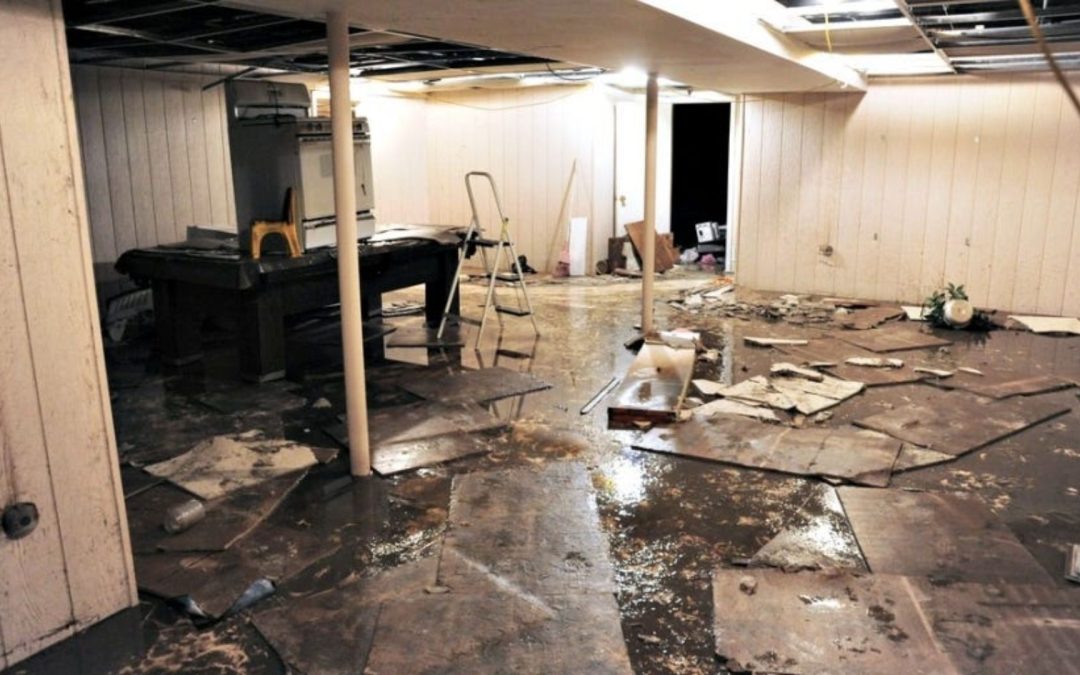 How does the water damage restoration process work in Mount Vernon?