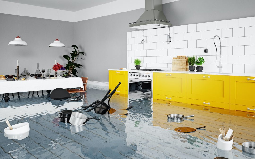 Restoring Your Snohomish County Home After Flood: Choosing the Right Remediation Services