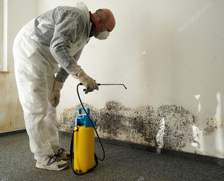 Environment Control: Your Go-to Company for Water, Fire & Mold Problems