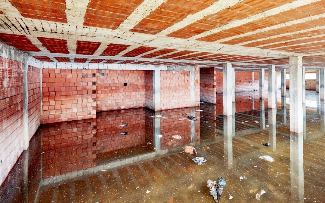 Act Fast: The Importance of Timely Water Damage Restoration | Environment Control of North Seattle